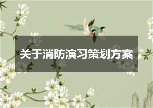 关于消防演习策划方案