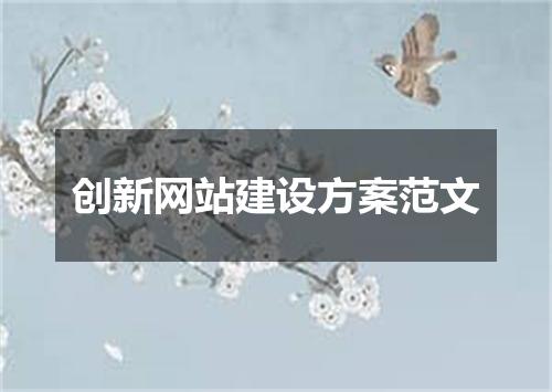 创新网站建设方案范文