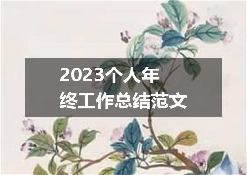 2023个人年终工作总结范文