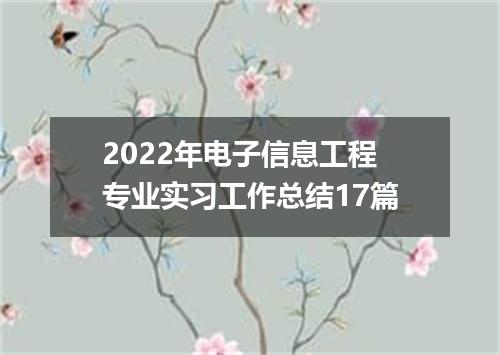 2022年电子信息工程专业实习工作总结17篇
