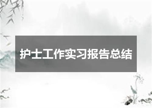 护士工作实习报告总结