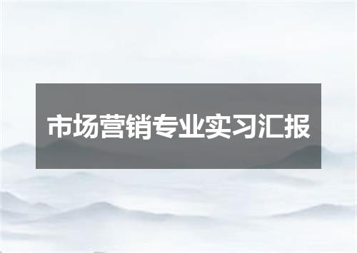 市场营销专业实习汇报