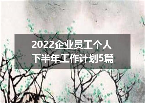2022企业员工个人下半年工作计划5篇