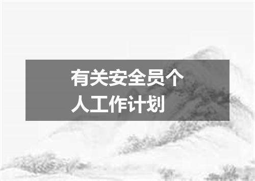 有关安全员个人工作计划