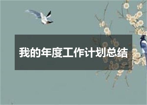 我的年度工作计划总结
