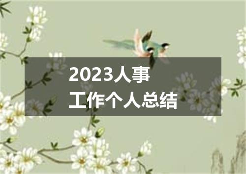 2023人事工作个人总结