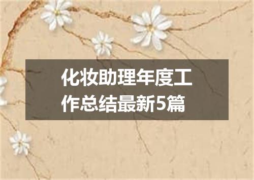 化妆助理年度工作总结最新5篇