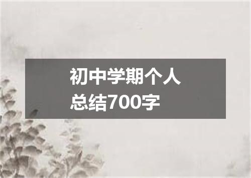 初中学期个人总结700字