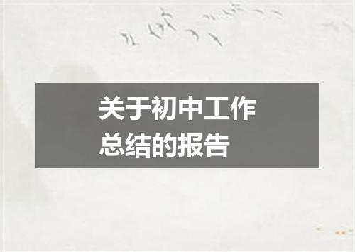 关于初中工作总结的报告