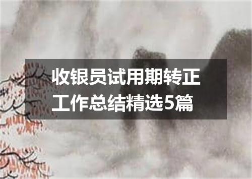 收银员试用期转正工作总结精选5篇