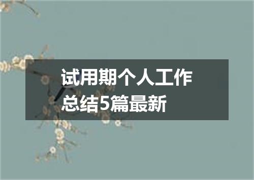 试用期个人工作总结5篇最新