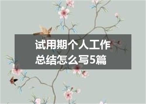 试用期个人工作总结怎么写5篇