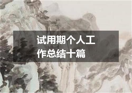 试用期个人工作总结十篇