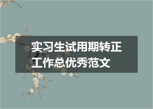 实习生试用期转正工作总优秀范文