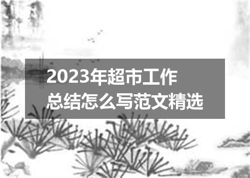 2023年超市工作总结怎么写范文精选