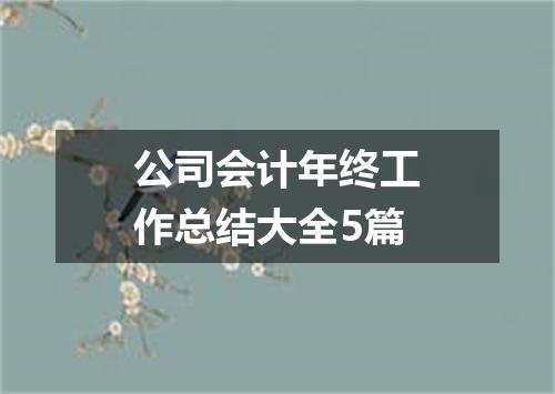 公司会计年终工作总结大全5篇