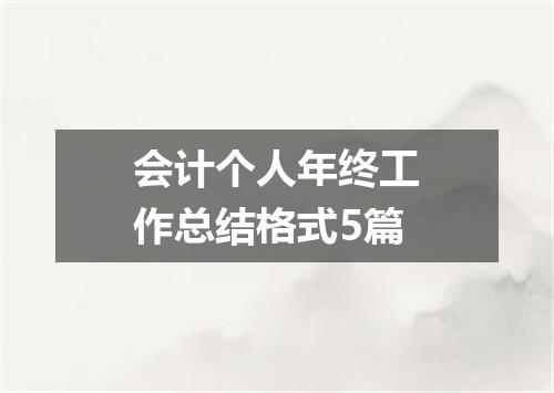 会计个人年终工作总结格式5篇