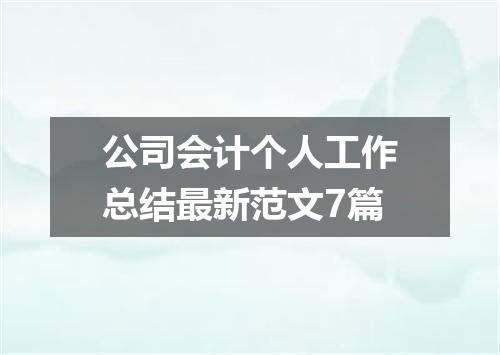 公司会计个人工作总结最新范文7篇