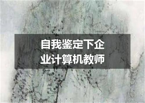 自我鉴定下企业计算机教师