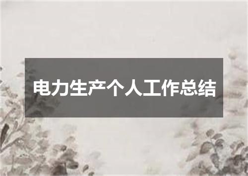 电力生产个人工作总结
