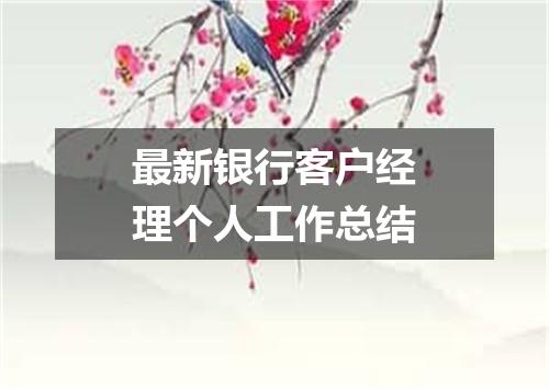 最新银行客户经理个人工作总结
