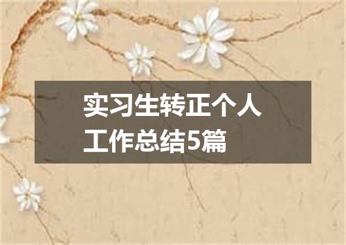 实习生转正个人工作总结5篇