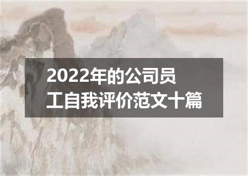 2022年的公司员工自我评价范文十篇
