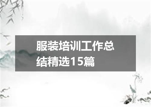 服装培训工作总结精选15篇