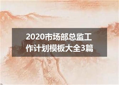 2020市场部总监工作计划模板大全3篇