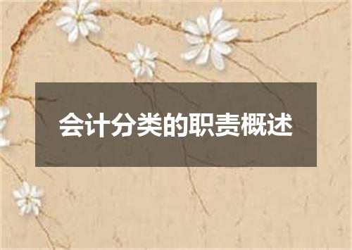会计分类的职责概述