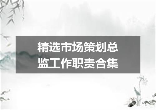 精选市场策划总监工作职责合集