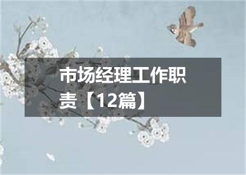 市场经理工作职责【12篇】