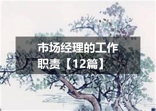 市场经理的工作职责【12篇】