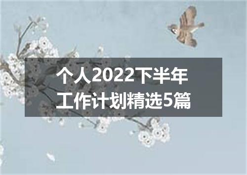 个人2022下半年工作计划精选5篇
