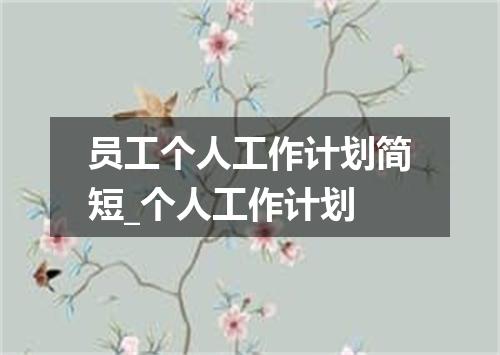 员工个人工作计划简短_个人工作计划