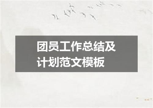 团员工作总结及计划范文模板