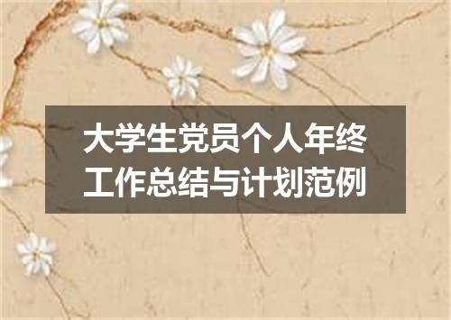 大学生党员个人年终工作总结与计划范例