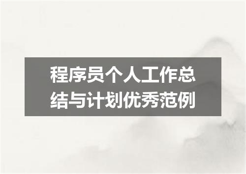 程序员个人工作总结与计划优秀范例