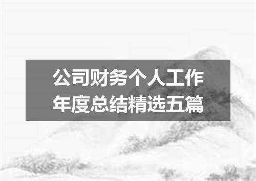 公司财务个人工作年度总结精选五篇