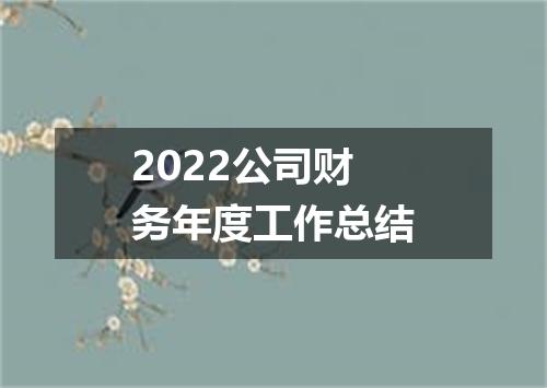 2022公司财务年度工作总结