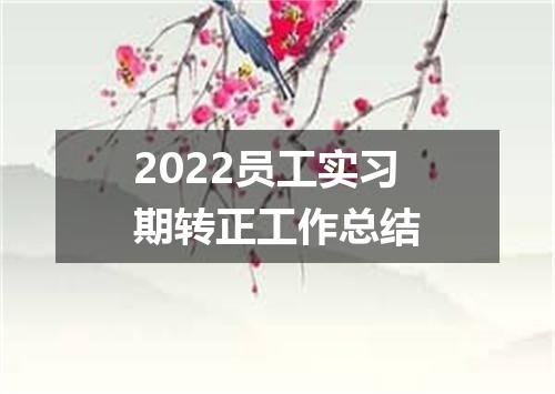 2022员工实习期转正工作总结