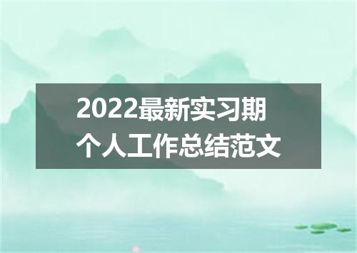 2022最新实习期个人工作总结范文