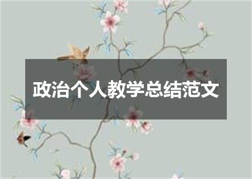 政治个人教学总结范文