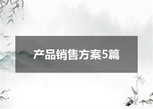 产品销售方案5篇