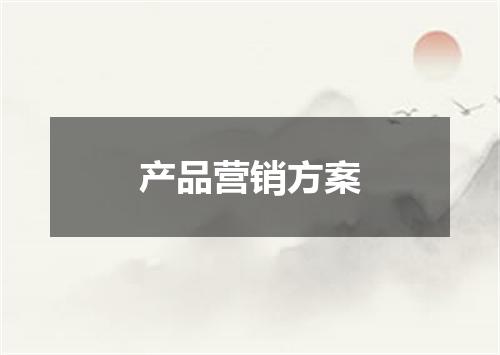 产品营销方案