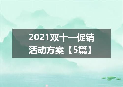 2021双十一促销活动方案【5篇】