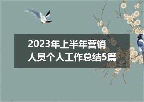 2023年上半年营销人员个人工作总结5篇