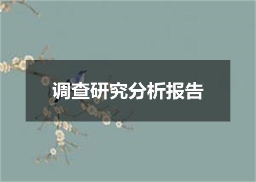 调查研究分析报告