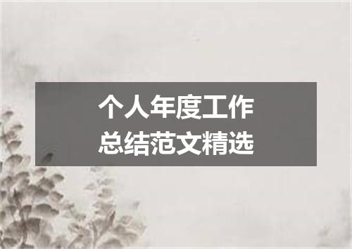 个人年度工作总结范文精选