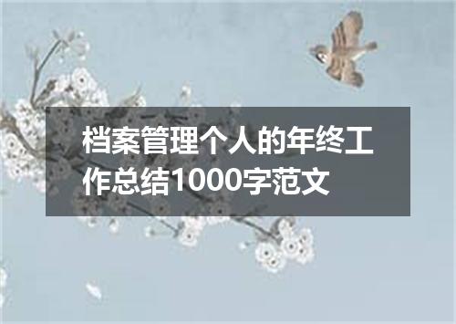 档案管理个人的年终工作总结1000字范文